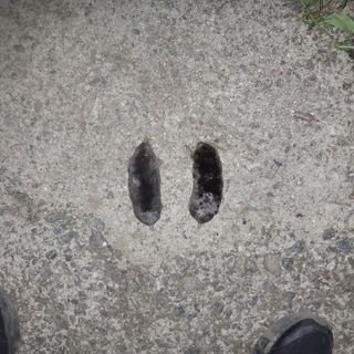 소농인님의 자유주제 · 자유게시판 작성글 사진