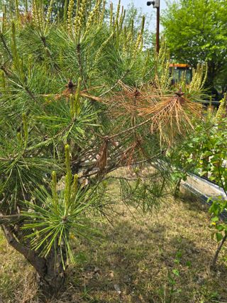 병행농부님의 농사, 무엇이든 물어보세요! · 참여글 작성글 사진