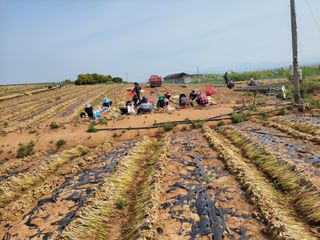 주인성님의 자유주제 · 자유게시판 작성글 사진