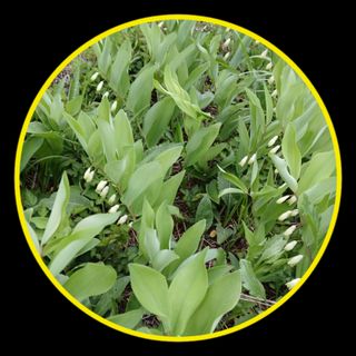 인생은 소풍처럼님의 자유주제 · 자유게시판 작성글 사진