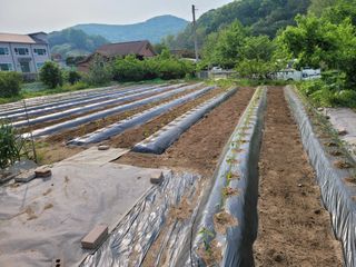 땅땅님의 자유주제 · 자유게시판 작성글 사진