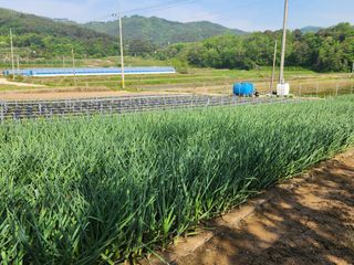 고승현(장수하늘소)님의 자유주제 · 자유게시판 작성글 사진