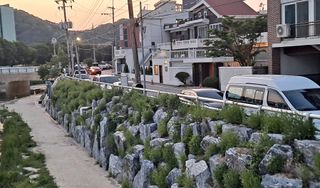 MSG0074님의 자유주제 · 자유게시판 작성글 사진