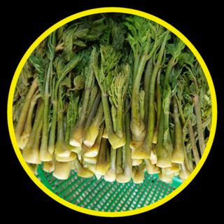 인생은 소풍처럼님의 자유주제 · 자유게시판 작성글 사진