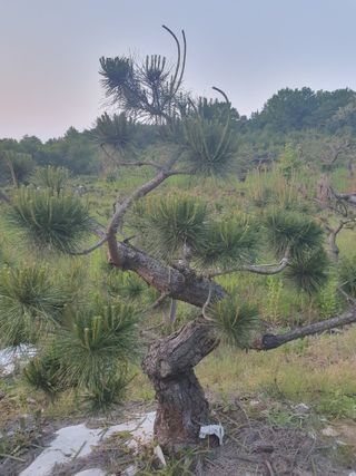 알 수 없음님의 자유주제 · 사진전 작성글 사진