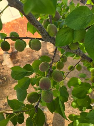 자연인님의 자유주제 · 자유게시판 작성글 사진