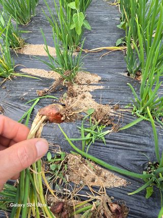 소병찬님의 자유주제 · 자유게시판 작성글 사진