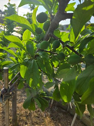 자연인님의 자유주제 · 자유게시판 작성글 사진