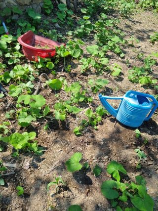 김용대님의 자유주제 · 자유게시판 작성글 사진