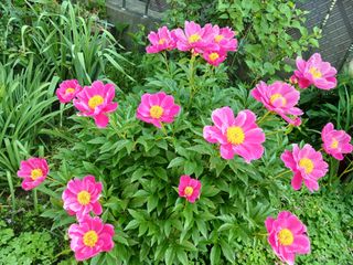 금동이네님의 자유주제 · 자유게시판 작성글 사진