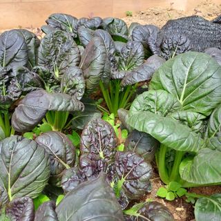 정강화님의 자유주제 · 자유게시판 작성글 사진