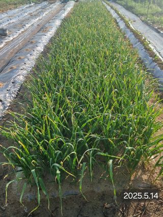 정석범님의 자유주제 · 자유게시판 작성글 사진