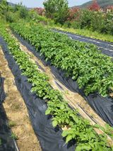 팜모닝 자유주제·자유게시판 게시글 이미지