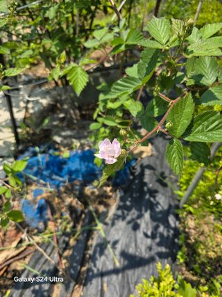 소병찬님의 자유주제 · 자유게시판 작성글 사진