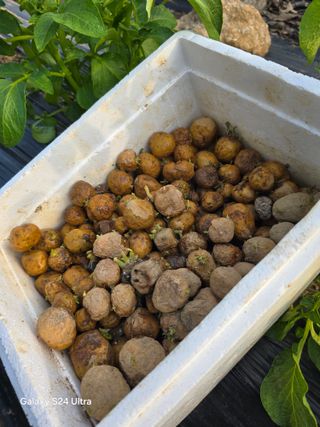 소병찬님의 자유주제 · 자유게시판 작성글 사진