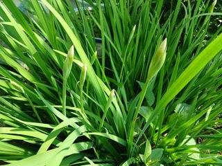 금동이네님의 자유주제 · 자유게시판 작성글 사진