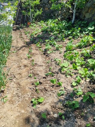 김용대님의 자유주제 · 자유게시판 작성글 사진