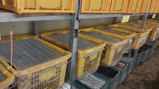 파머스팜X유성천마님의 작성글 사진