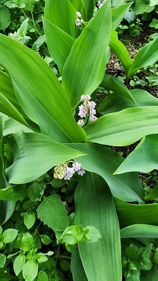 고추건조기부품판매님의 자유주제 · 자유게시판 작성글 사진