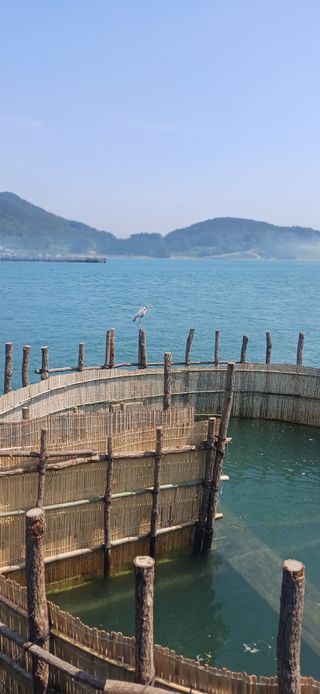 초보퍼머5도2촌준비님의 자유주제 · 자유게시판 작성글 사진