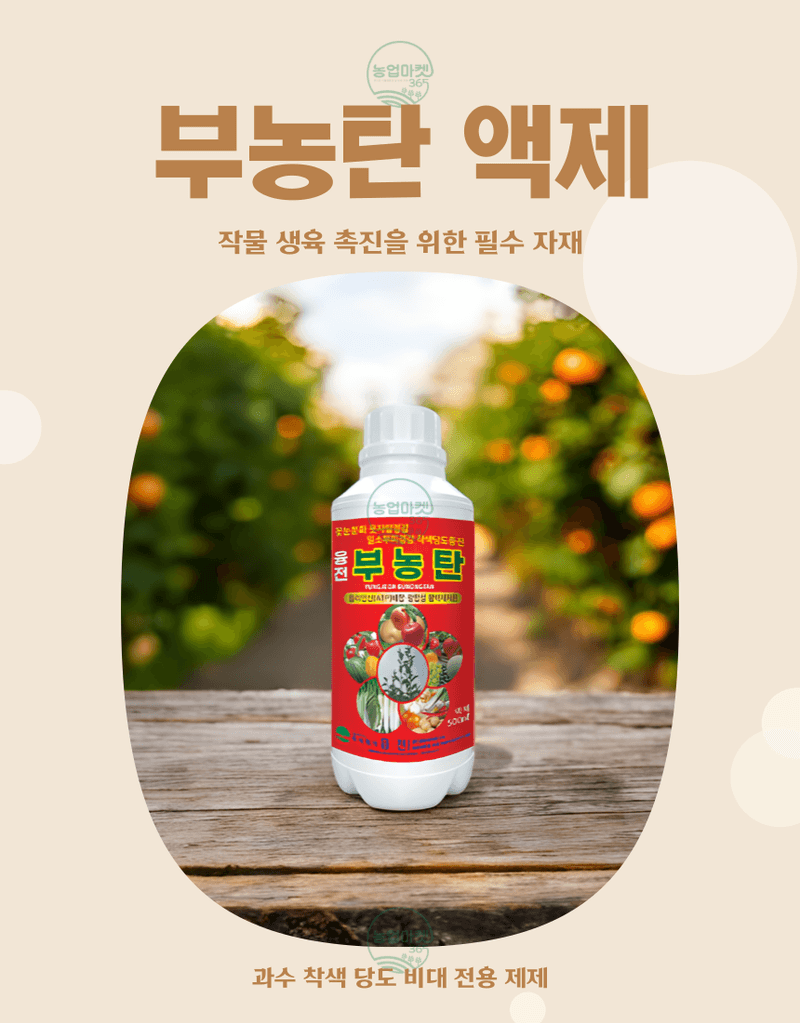 농업마켓365님의 장터 판매 상품 [농업마켓365 융전 부농탄 액제 500ml 도장억제제 웃자람경감제 착색 당도 비대 밑거름 웃거름 기비 추비 사과] 첨부 사진
