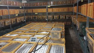 파머스팜X유성천마님의 작성글 사진