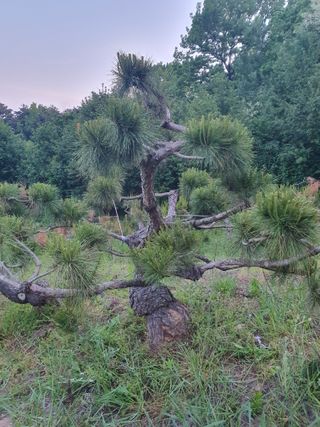 알 수 없음님의 자유주제 · 사진전 작성글 사진