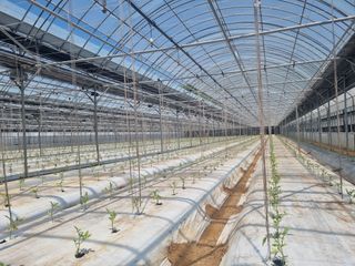 이종선회원님의 자유주제 · 자유게시판 작성글 사진