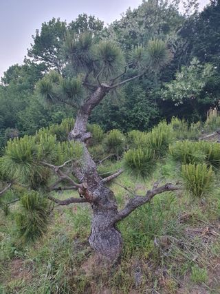 알 수 없음님의 자유주제 · 사진전 작성글 사진