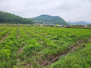이창신님의 자유주제 · 자유게시판 작성글 사진