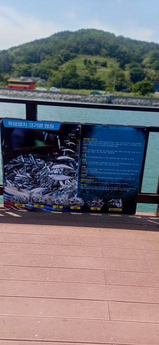 초보퍼머5도2촌준비님의 자유주제 · 자유게시판 작성글 사진