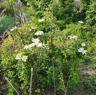 고추건조기부품판매님의 자유주제 · 자유게시판 작성글 사진