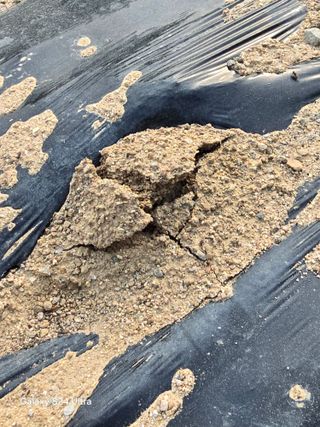 소병찬님의 자유주제 · 자유게시판 작성글 사진