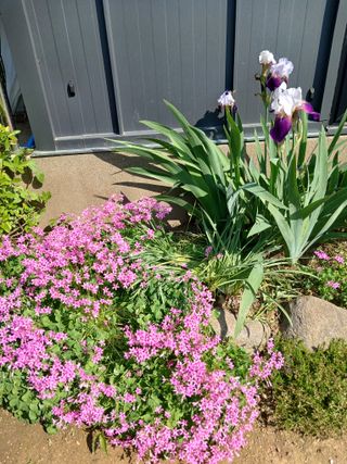 금동이네님의 자유주제 · 자유게시판 작성글 사진