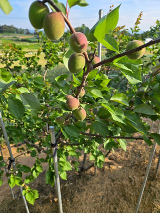 자연인님의 자유주제 · 자유게시판 작성글 사진