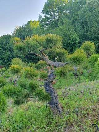 알 수 없음님의 자유주제 · 사진전 작성글 사진