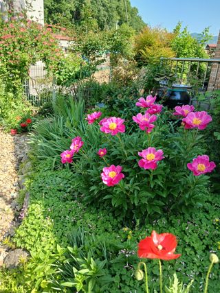 금동이네님의 자유주제 · 자유게시판 작성글 사진