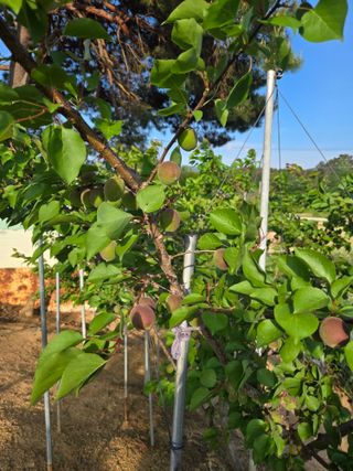 자연인님의 자유주제 · 자유게시판 작성글 사진