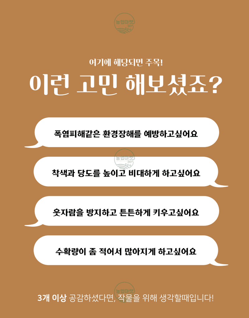 농업마켓365님의 장터 판매 상품 [농업마켓365 융전 부농탄 액제 500ml 도장억제제 웃자람경감제 착색 당도 비대 밑거름 웃거름 기비 추비 사과] 첨부 사진