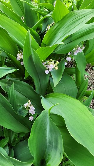 고추건조기부품판매님의 자유주제 · 자유게시판 작성글 사진