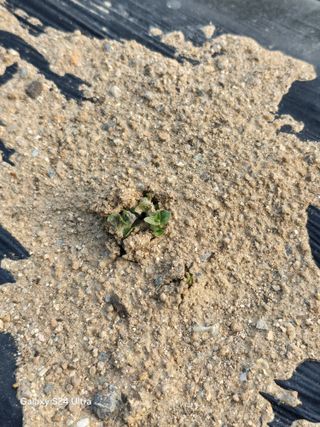 소병찬님의 자유주제 · 자유게시판 작성글 사진