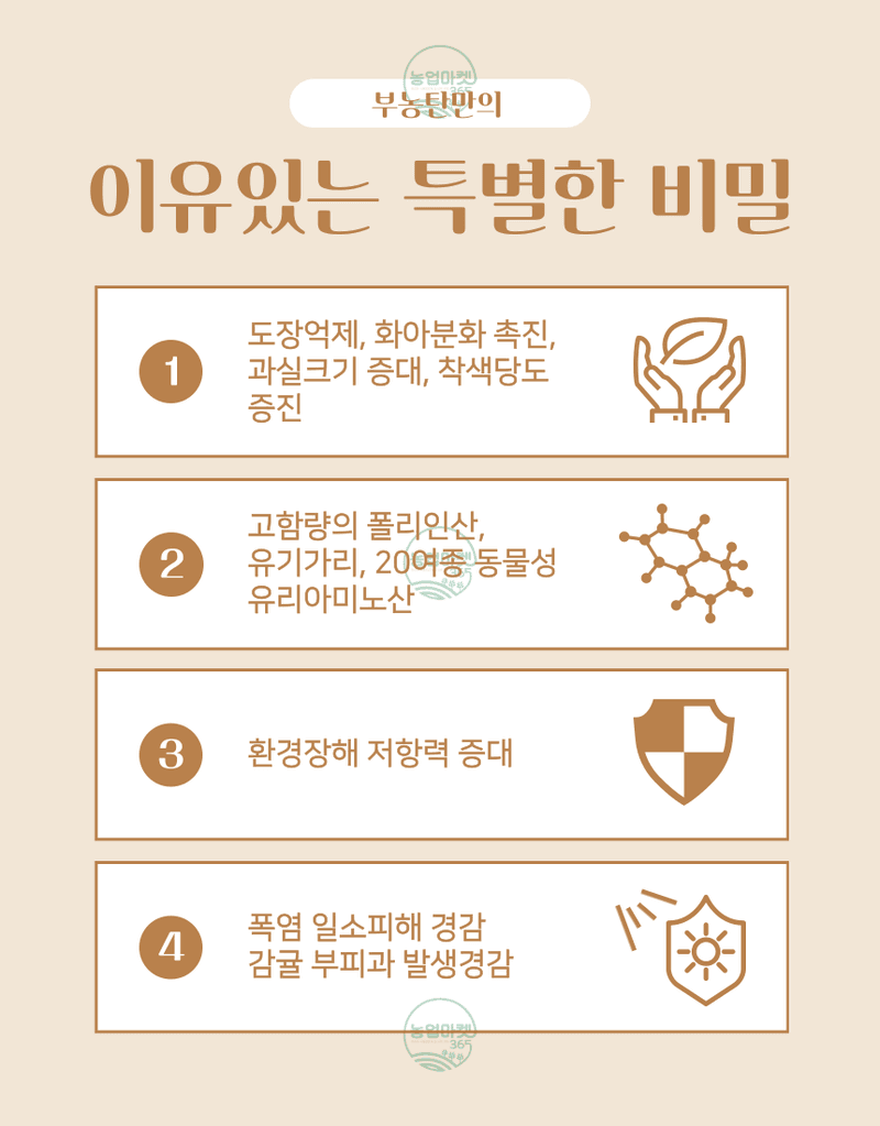 농업마켓365님의 장터 판매 상품 [농업마켓365 융전 부농탄 액제 500ml 도장억제제 웃자람경감제 착색 당도 비대 밑거름 웃거름 기비 추비 사과] 첨부 사진