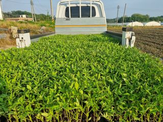 이종선회원님의 자유주제 · 자유게시판 작성글 사진