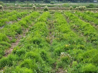 이창신님의 자유주제 · 자유게시판 작성글 사진