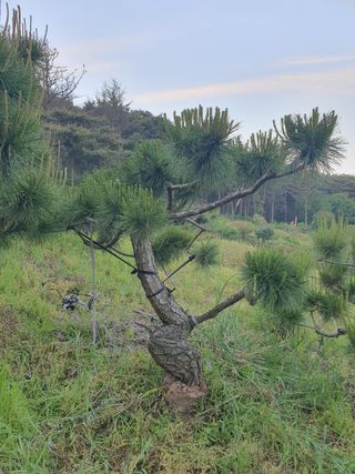 알 수 없음님의 자유주제 · 사진전 작성글 사진