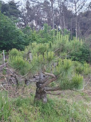 알 수 없음님의 자유주제 · 사진전 작성글 사진