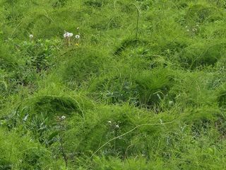 이창신님의 자유주제 · 자유게시판 작성글 사진