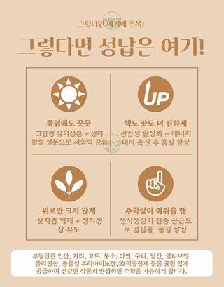 농업마켓365님의 작성글 사진