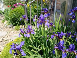 금동이네님의 자유주제 · 자유게시판 작성글 사진