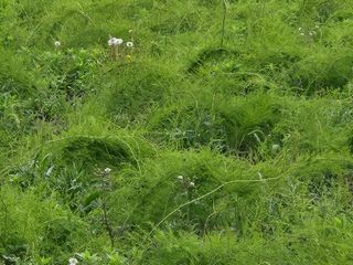 이창신님의 자유주제 · 자유게시판 작성글 사진